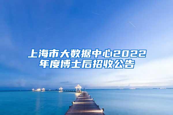 上海市大数据中心2022年度博士后招收公告