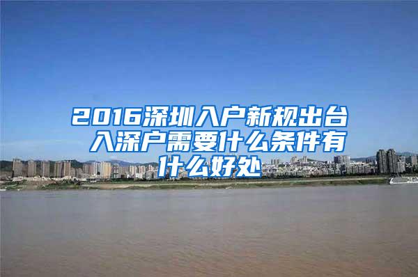 2016深圳入户新规出台 入深户需要什么条件有什么好处