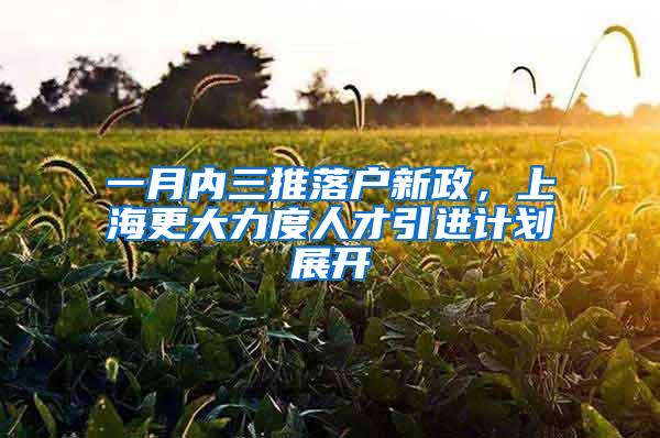 一月内三推落户新政，上海更大力度人才引进计划展开