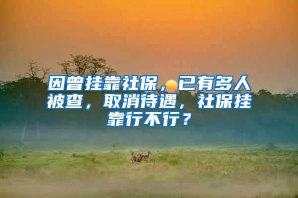 因曾挂靠社保，已有多人被查，取消待遇，社保挂靠行不行？