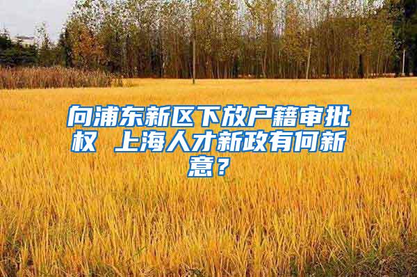 向浦东新区下放户籍审批权 上海人才新政有何新意？