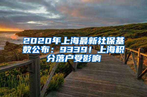 2020年上海最新社保基数公布：9339！上海积分落户受影响