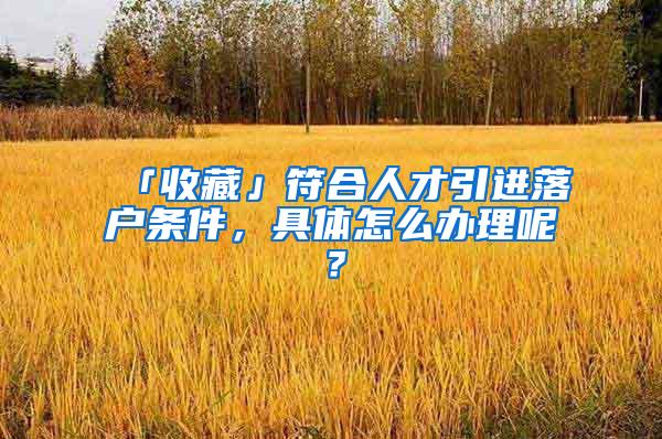 「收藏」符合人才引进落户条件，具体怎么办理呢？