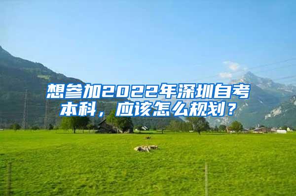 想参加2022年深圳自考本科，应该怎么规划？