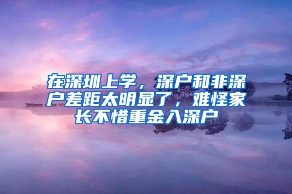 在深圳上学，深户和非深户差距太明显了，难怪家长不惜重金入深户