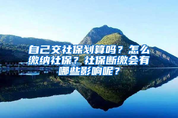 自己交社保划算吗？怎么缴纳社保？社保断缴会有哪些影响呢？