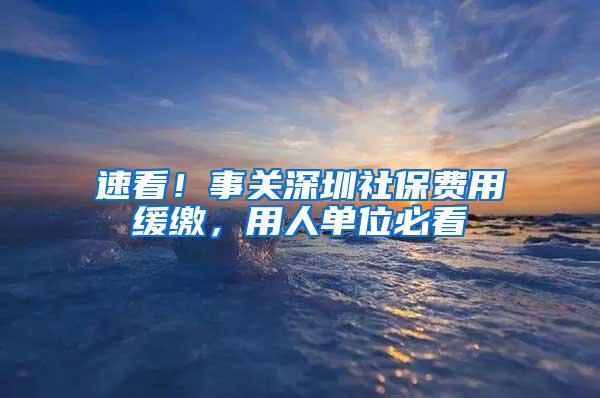 速看！事关深圳社保费用缓缴，用人单位必看