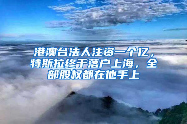 港澳台法人注资一个亿，特斯拉终于落户上海，全部股权都在他手上