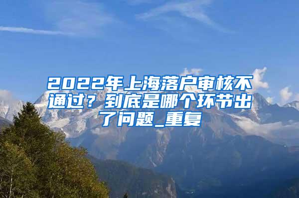 2022年上海落户审核不通过？到底是哪个环节出了问题_重复