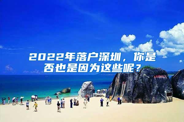 2022年落户深圳，你是否也是因为这些呢？