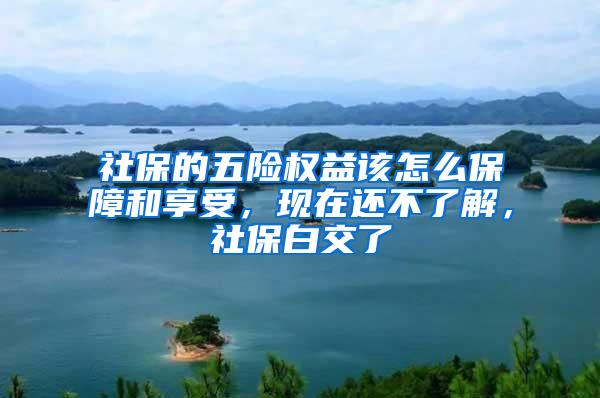 社保的五险权益该怎么保障和享受，现在还不了解，社保白交了