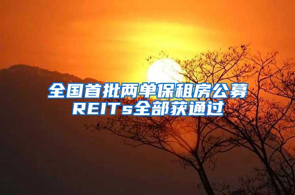 全国首批两单保租房公募REITs全部获通过