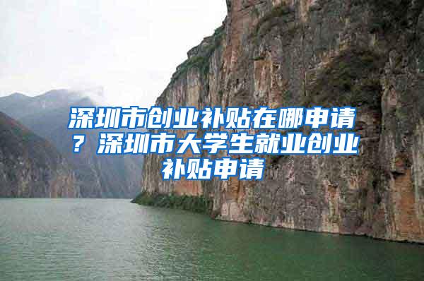 深圳市创业补贴在哪申请？深圳市大学生就业创业补贴申请