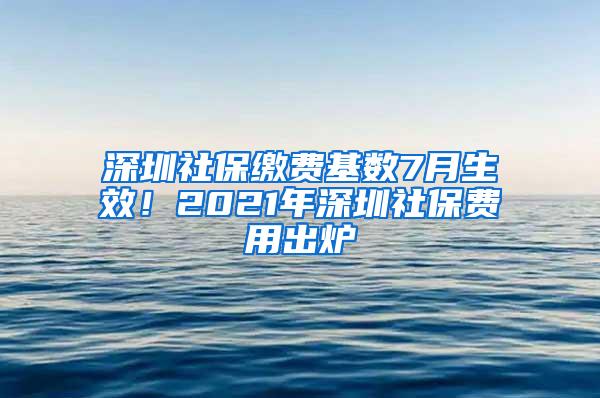 深圳社保缴费基数7月生效！2021年深圳社保费用出炉