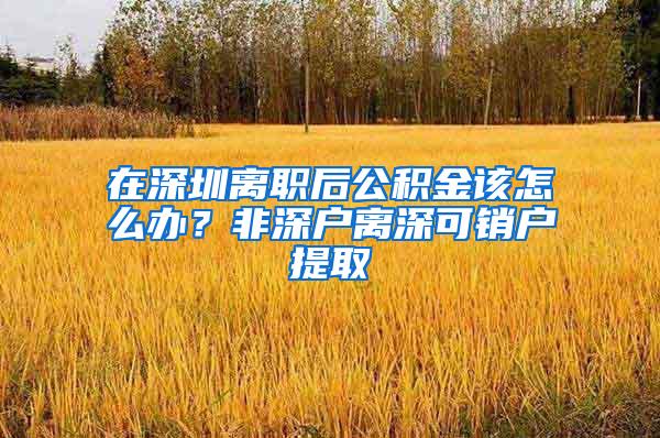 在深圳离职后公积金该怎么办？非深户离深可销户提取