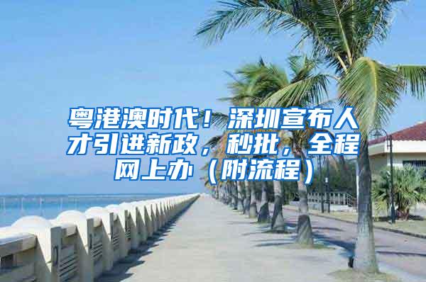 粤港澳时代！深圳宣布人才引进新政，秒批，全程网上办（附流程）