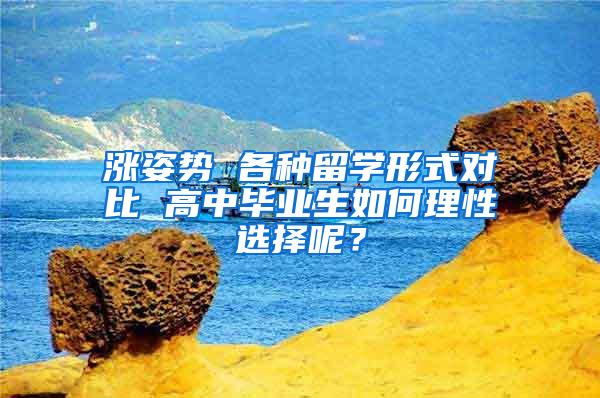 涨姿势 各种留学形式对比 高中毕业生如何理性选择呢？