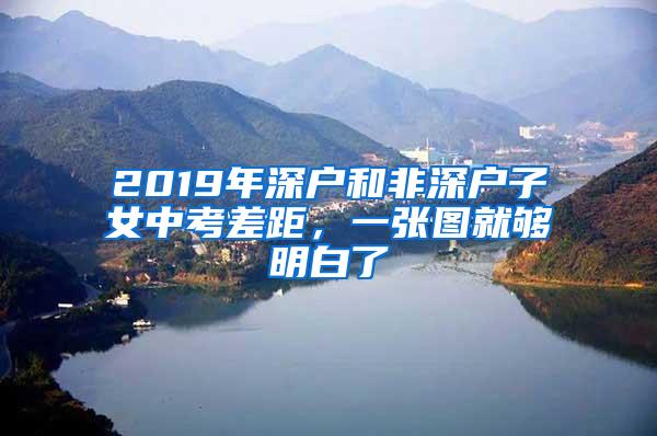 2019年深户和非深户子女中考差距，一张图就够明白了