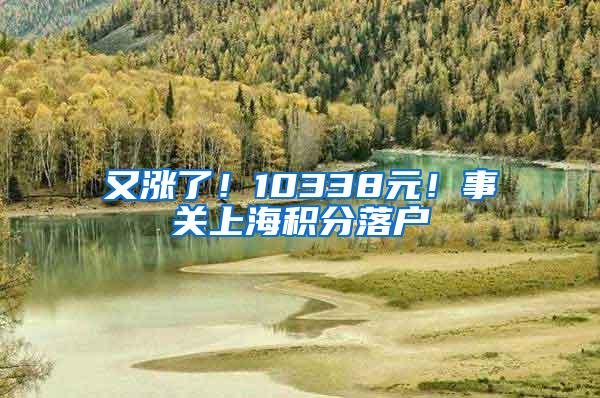 又涨了！10338元！事关上海积分落户