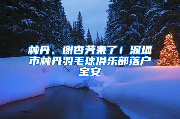 林丹、谢杏芳来了！深圳市林丹羽毛球俱乐部落户宝安