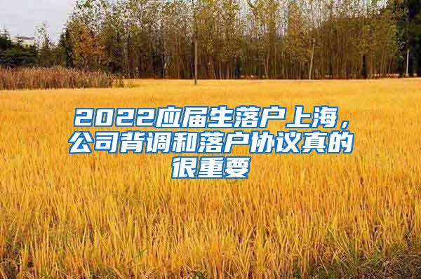 2022应届生落户上海，公司背调和落户协议真的很重要