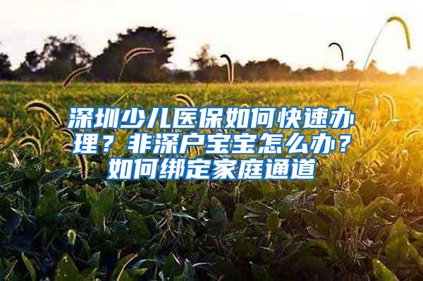 深圳少儿医保如何快速办理？非深户宝宝怎么办？如何绑定家庭通道