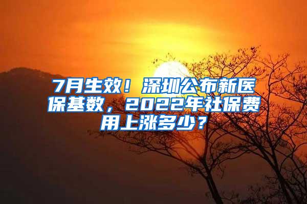 7月生效！深圳公布新医保基数，2022年社保费用上涨多少？