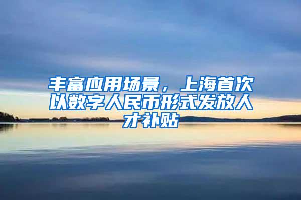 丰富应用场景，上海首次以数字人民币形式发放人才补贴