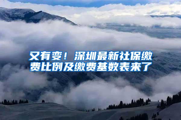 又有变！深圳最新社保缴费比例及缴费基数表来了