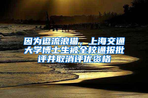 因为逗流浪猫，上海交通大学博士生被全校通报批评并取消评优资格