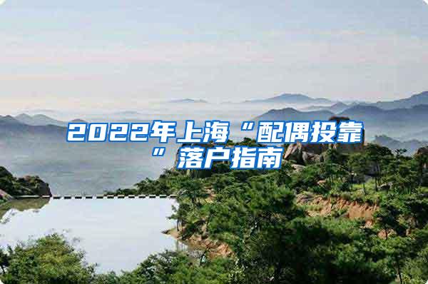 2022年上海“配偶投靠”落户指南