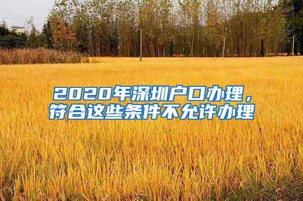 2020年深圳户口办理，符合这些条件不允许办理