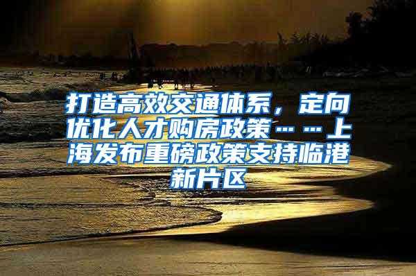 打造高效交通体系，定向优化人才购房政策……上海发布重磅政策支持临港新片区