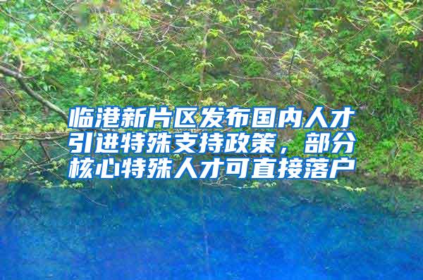 临港新片区发布国内人才引进特殊支持政策，部分核心特殊人才可直接落户