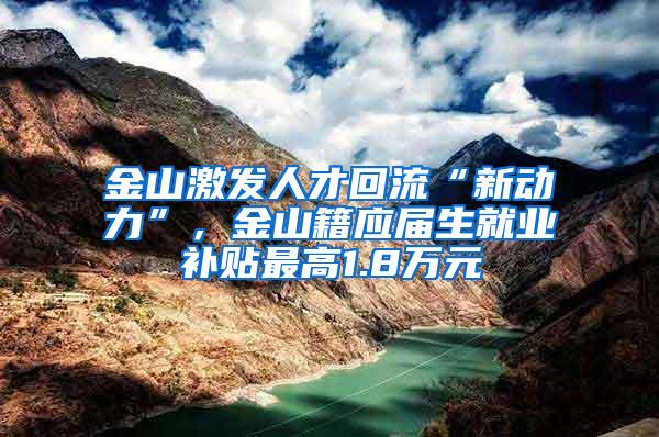 金山激发人才回流“新动力”，金山籍应届生就业补贴最高1.8万元