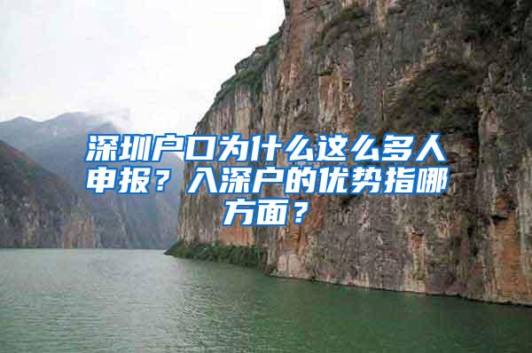 深圳户口为什么这么多人申报？入深户的优势指哪方面？