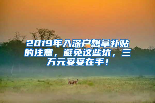 2019年入深户想拿补贴的注意，避免这些坑，三万元妥妥在手！