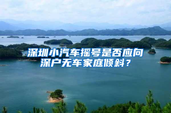 深圳小汽车摇号是否应向深户无车家庭倾斜？