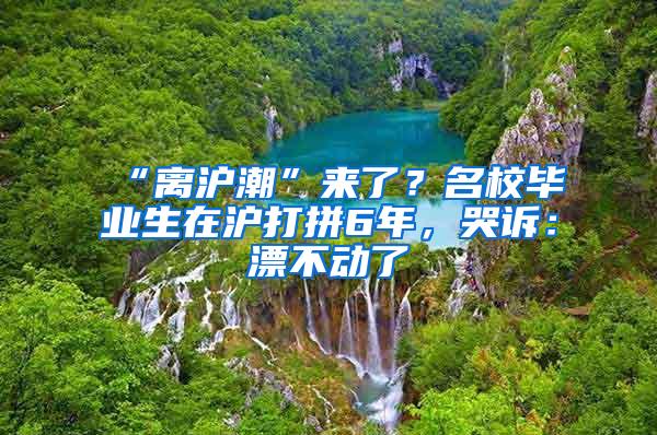 “离沪潮”来了？名校毕业生在沪打拼6年，哭诉：漂不动了