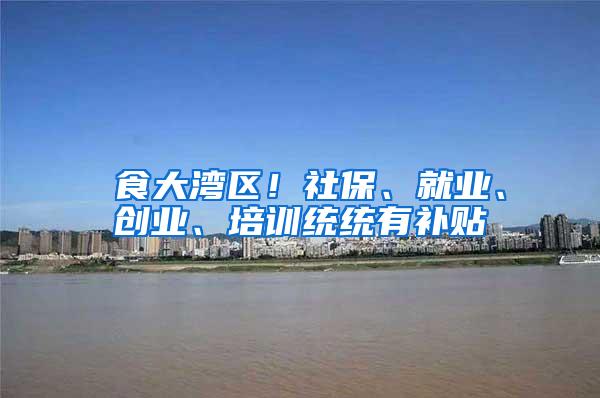 揾食大湾区！社保、就业、创业、培训统统有补贴