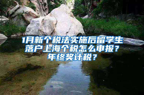 1月新个税法实施后留学生落户上海个税怎么申报？年终奖计税？