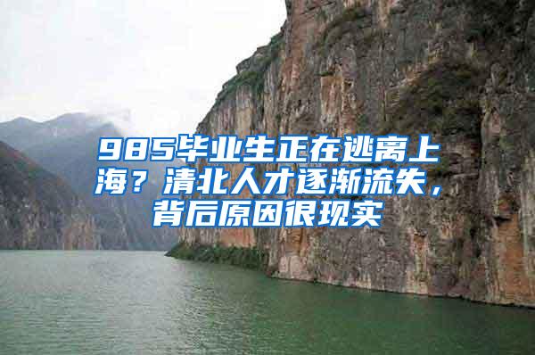 985毕业生正在逃离上海？清北人才逐渐流失，背后原因很现实