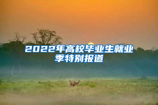 2022年高校毕业生就业季特别报道③