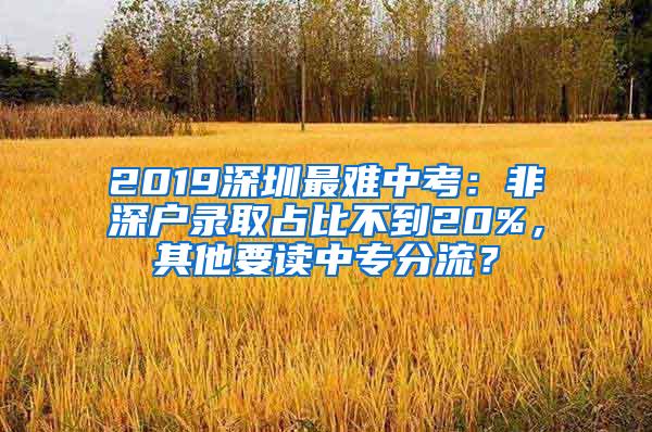 2019深圳最难中考：非深户录取占比不到20%，其他要读中专分流？