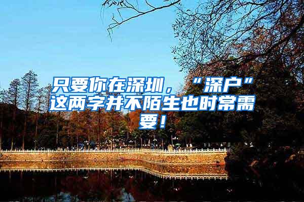只要你在深圳，“深户”这两字并不陌生也时常需要！