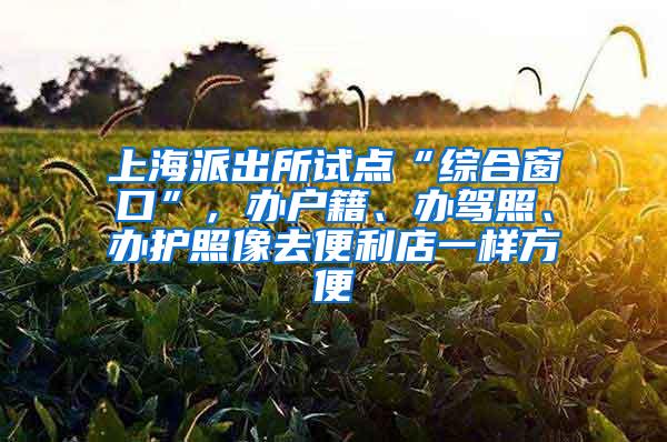 上海派出所试点“综合窗口”，办户籍、办驾照、办护照像去便利店一样方便