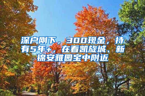 深户刚下，300现金，持有5年+，在看凯旋城、新锦安雅园宝中附近