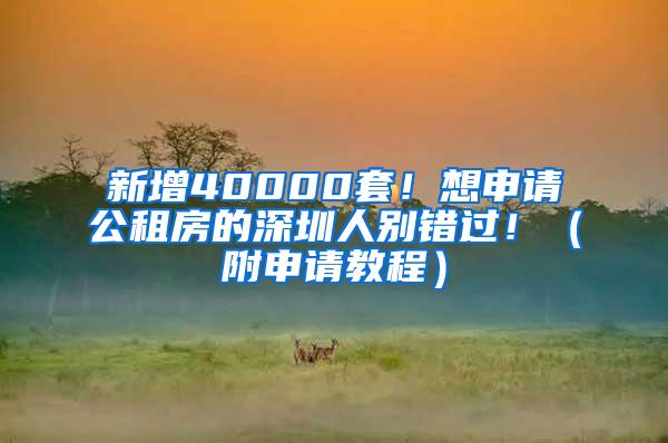 新增40000套！想申请公租房的深圳人别错过！（附申请教程）