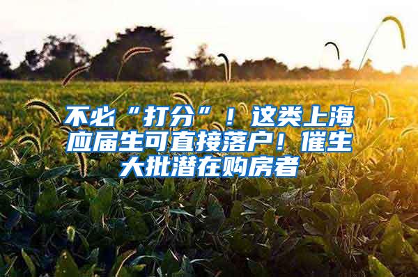 不必“打分”！这类上海应届生可直接落户！催生大批潜在购房者