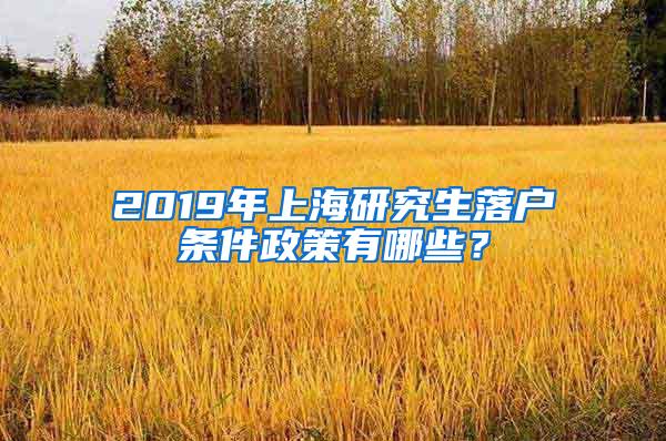 2019年上海研究生落户条件政策有哪些？